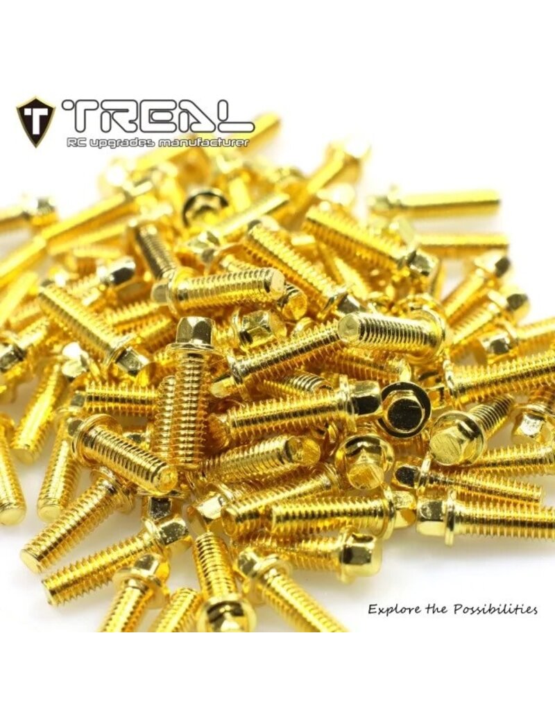 TREAL TRLX004YHT7IH 1.9 BEADLOCK WHEEL STEEL SCALE HEX HEAD SCREWS (GOLD) (100)