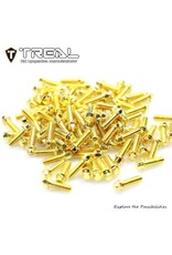 TREAL TRLX004YHT7IH 1.9 BEADLOCK WHEEL STEEL SCALE HEX HEAD SCREWS (GOLD) (100)