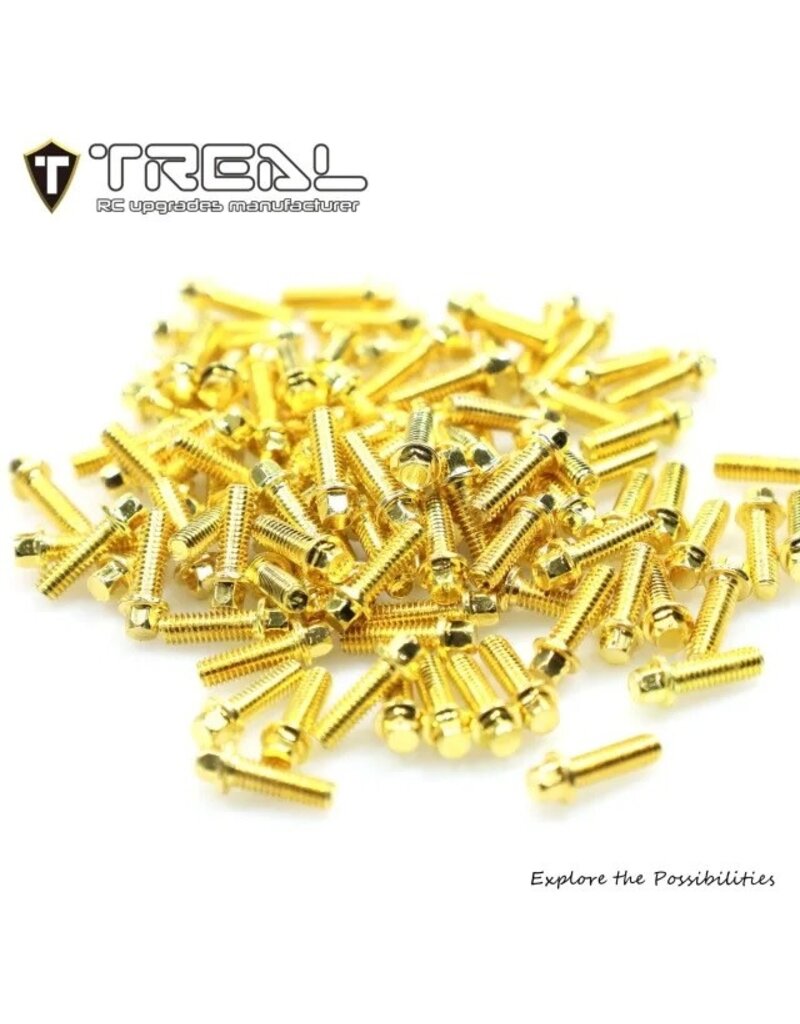 TREAL TRLX004YHT7IH 1.9 BEADLOCK WHEEL STEEL SCALE HEX HEAD SCREWS (GOLD) (100)