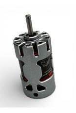 SILVER HORSE SHRC SH0840 COLT 25 SENSORED BRUSHLESS MOTOR 2500KV