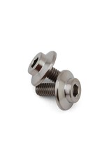 PROTEK RC PTK-T-5103 GR5 TITANIUM MOTOR SCREW (2) (3X7MM)