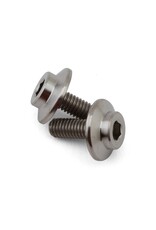 PROTEK RC PTK-T-5104 GR5 TITANIUM MOTOR SCREW (2) (3X8MM)