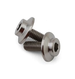 PROTEK RC PTK-T-5104 GR5 TITANIUM MOTOR SCREW (2) (3X8MM)