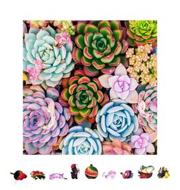 ZENCHALET ZCPSS500  SUCCULENT SENSATION WOODEN PUZZLE, 500 PCS