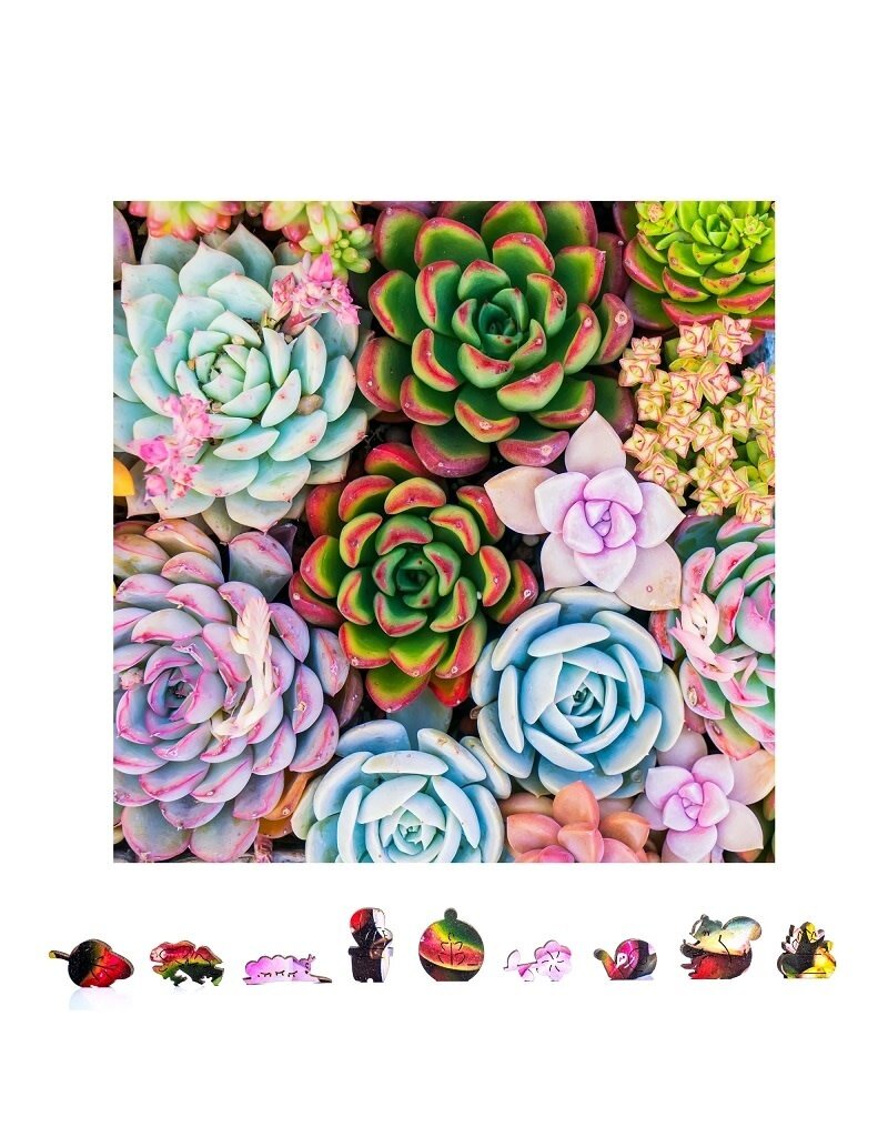 ZENCHALET ZCPSS500  SUCCULENT SENSATION WOODEN PUZZLE, 500 PCS