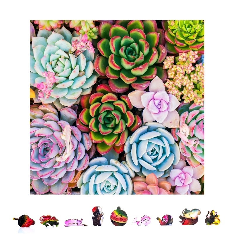 ZCPSS500 SUCCULENT SENSATION WOODEN PUZZLE, 500 PCS