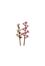 LEGO LEGO 40725 BOTANICALS CHERRY BLOSSOMS