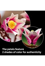 LEGO LEGO 11510 BOTANICALS MAGNOLIA BRANCHES