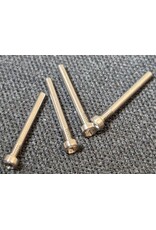 DAS SPEED DAS-V3-004 RTA CAPTURED HINGE PINS (4)