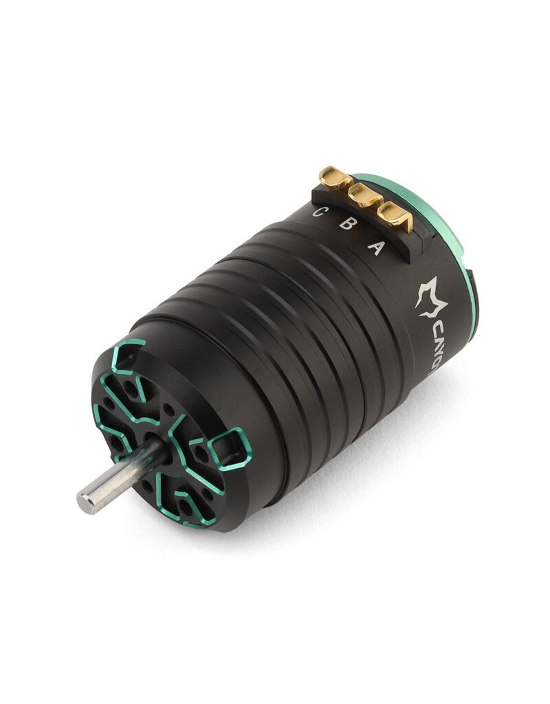 CAYOTE CYEB10806  4268 1/8 SENSORED BRUSHLESS MOTOR (2800KV) (IFMAR)