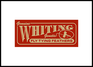 Whiting