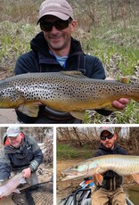 Renzetti Day: Morning Session Dec. 6th Renzetti Day: Morning Session Dec. 6th