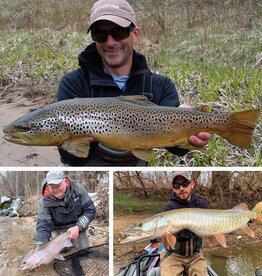 Renzetti Day: Morning Session Dec. 6th