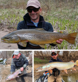 Renzetti Day: Afternoon Session Dec. 6th