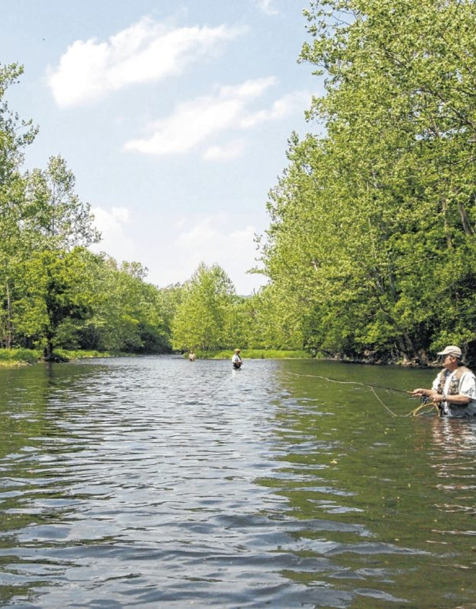 mwo Fly Tying Classes 2026