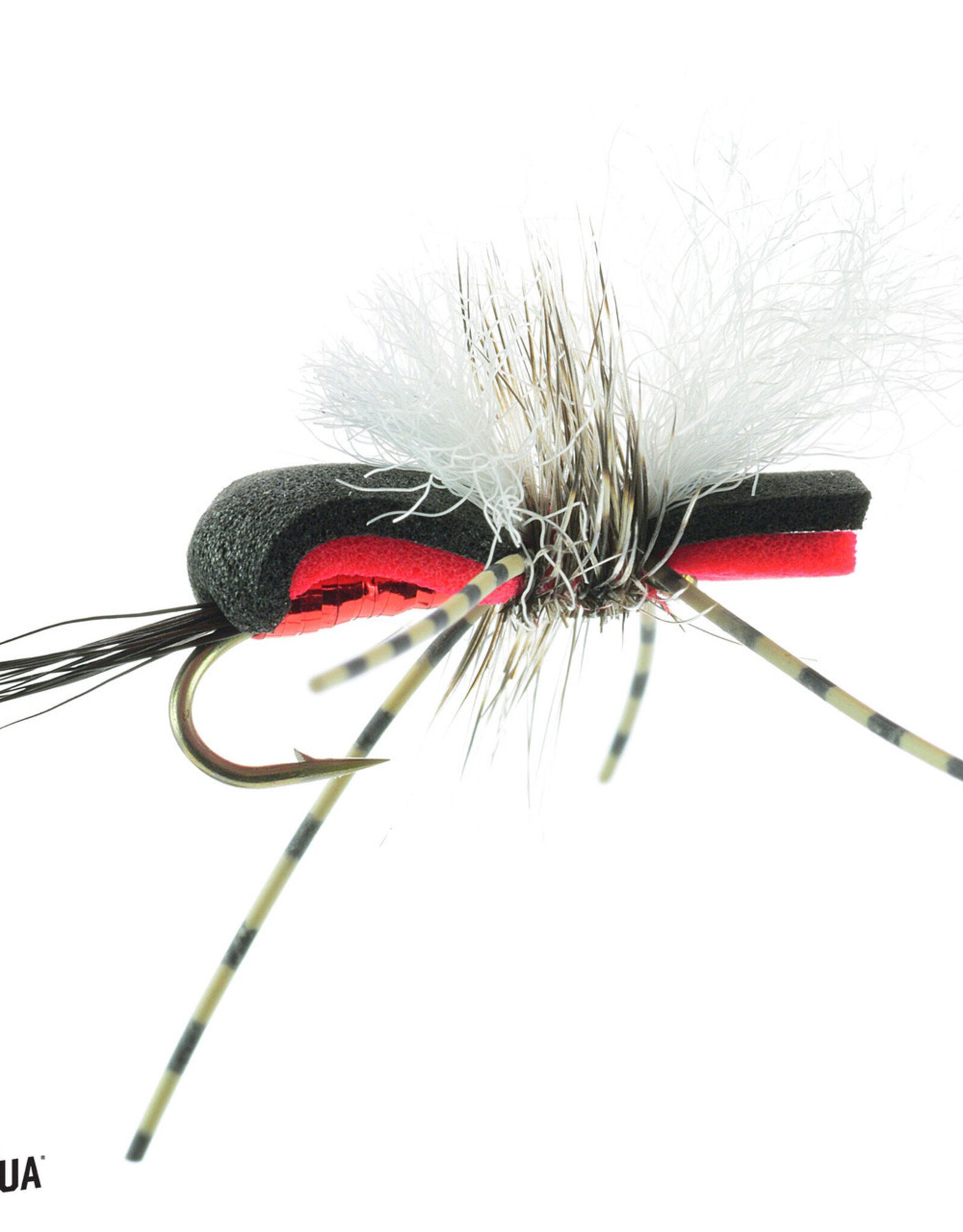 mwo Fly Tying Classes 2026