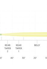 Scientific Anglers Amplitude Smooth: Infinity Warm