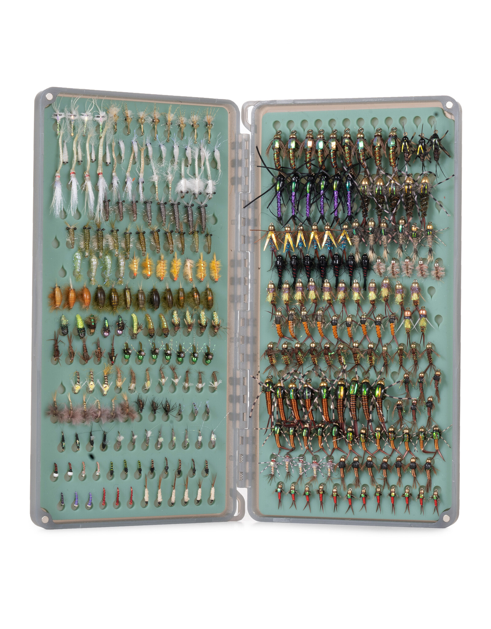 Fishpond Tacky Original 2x