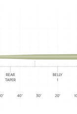 Scientific Anglers AMPLITUDE SMOOTH PANFISH