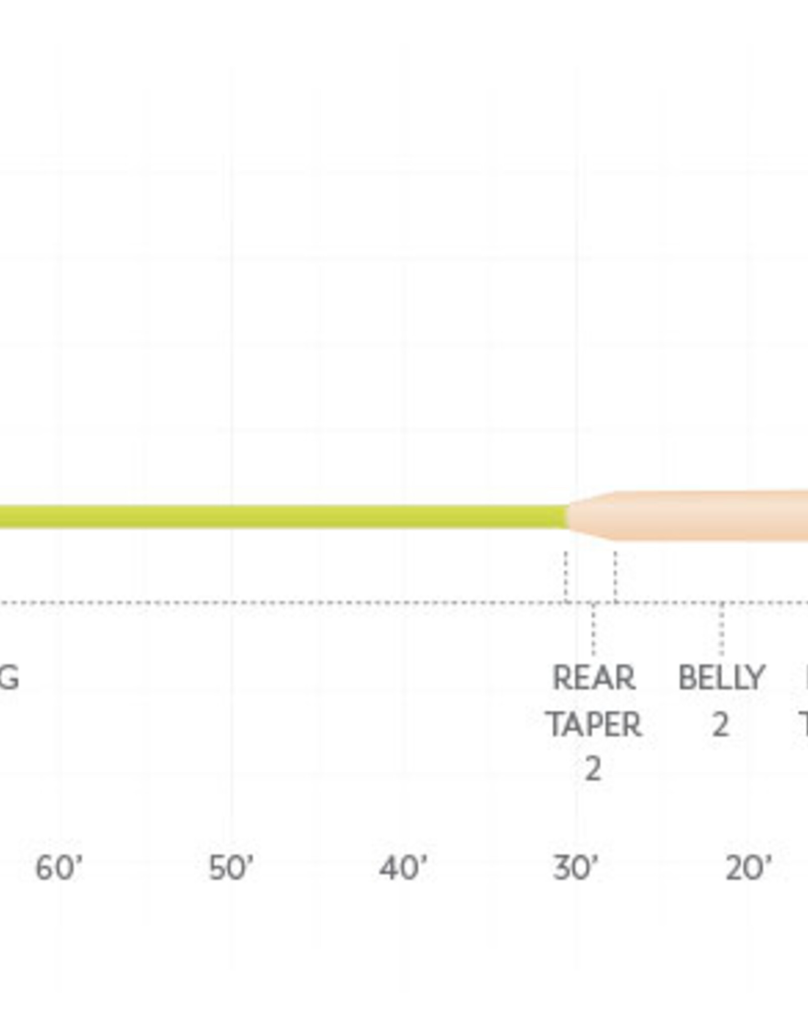 Scientific Anglers Amplitude Smooth Striper