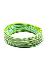 Scientific Anglers Sonar Titan Sink Tip F/I