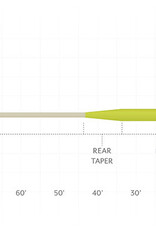 Scientific Anglers Sonar Titan Sink Tip F/S3
