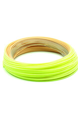 Scientific Anglers Sonar Grand Slam Clear Tip