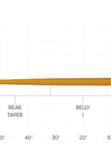 Scientific Anglers MASTERY PANFISH