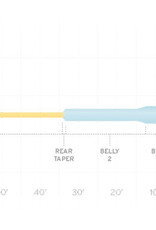 Scientific Anglers Mastery Tropical/Jungle Titan