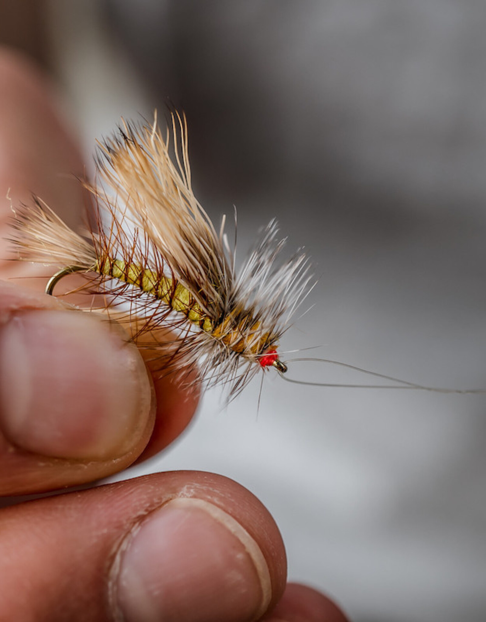 Umpqua Feather Merchants TMC 200R: 25 Pack