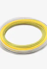 RIO Products Elite RIO Gold