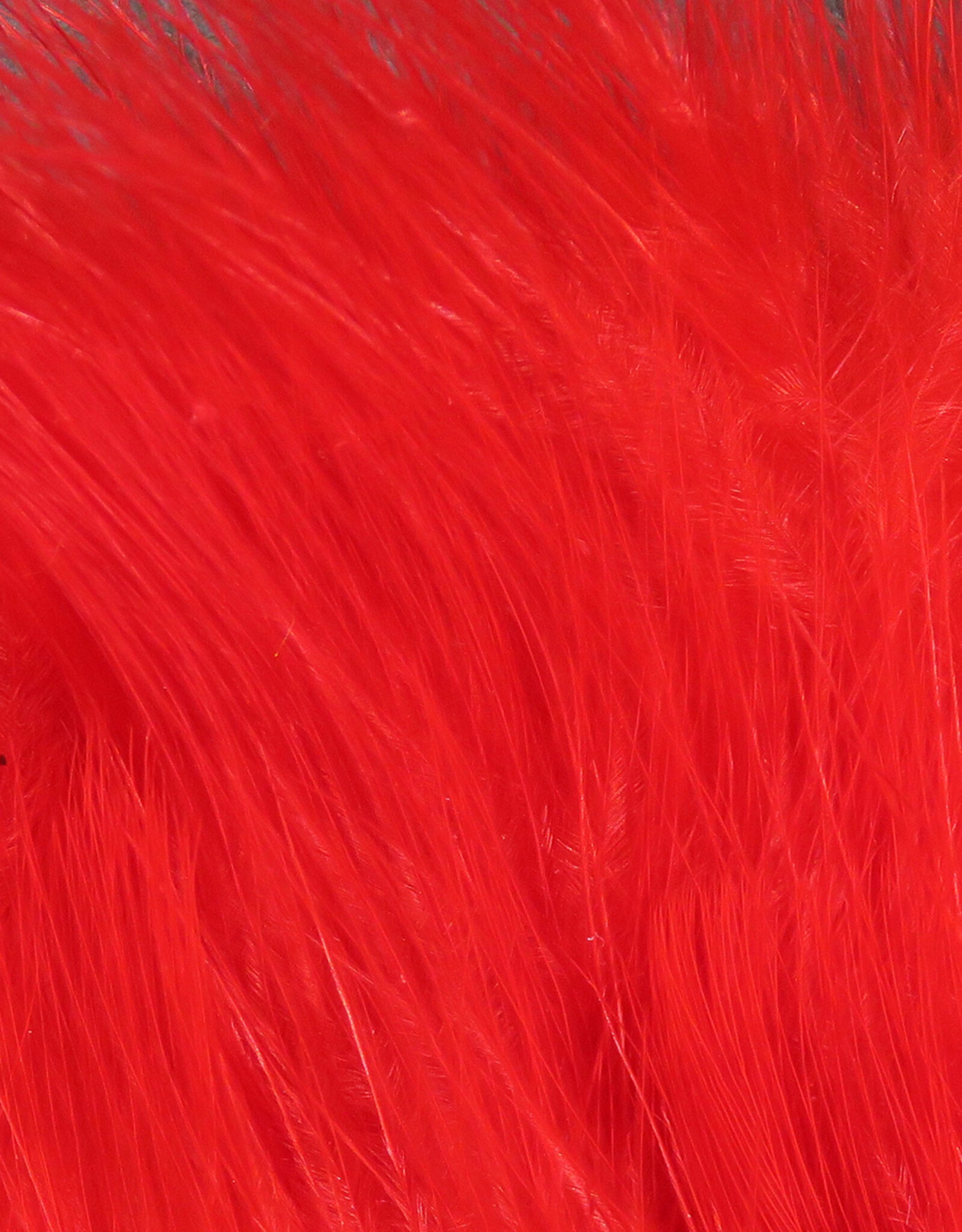 Hareline Dubbin Marabou Strung Blood Quills