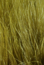 Hareline Dubbin Marabou Strung Blood Quills