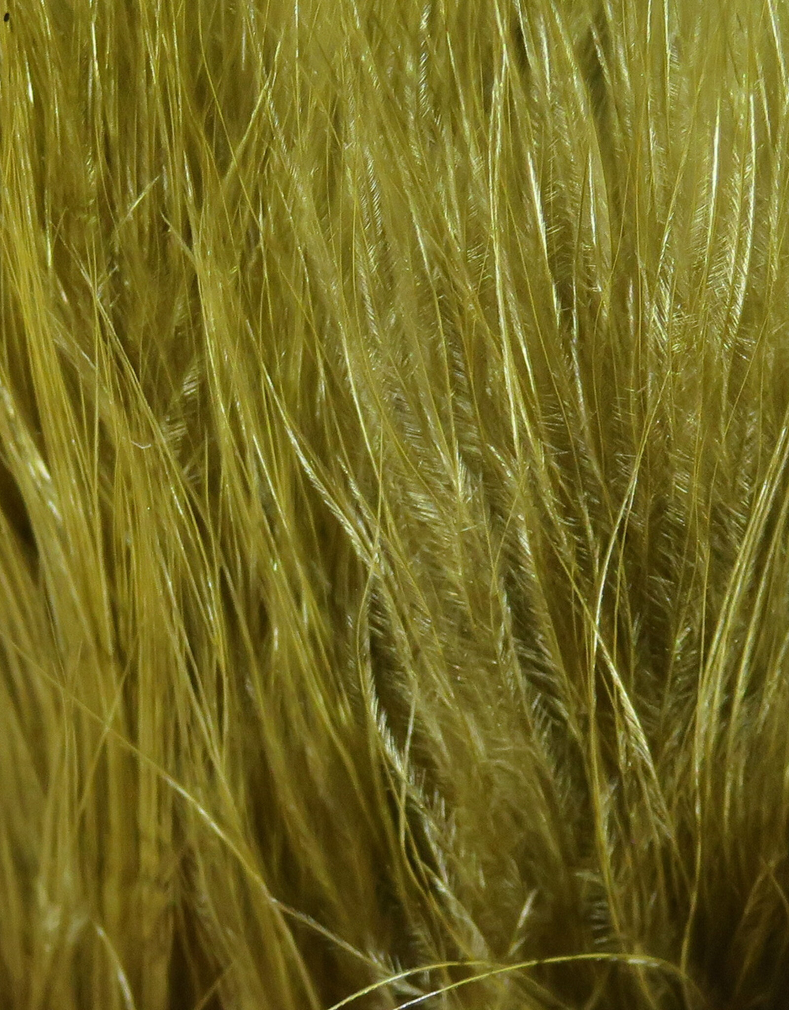 Hareline Dubbin Marabou Strung Blood Quills