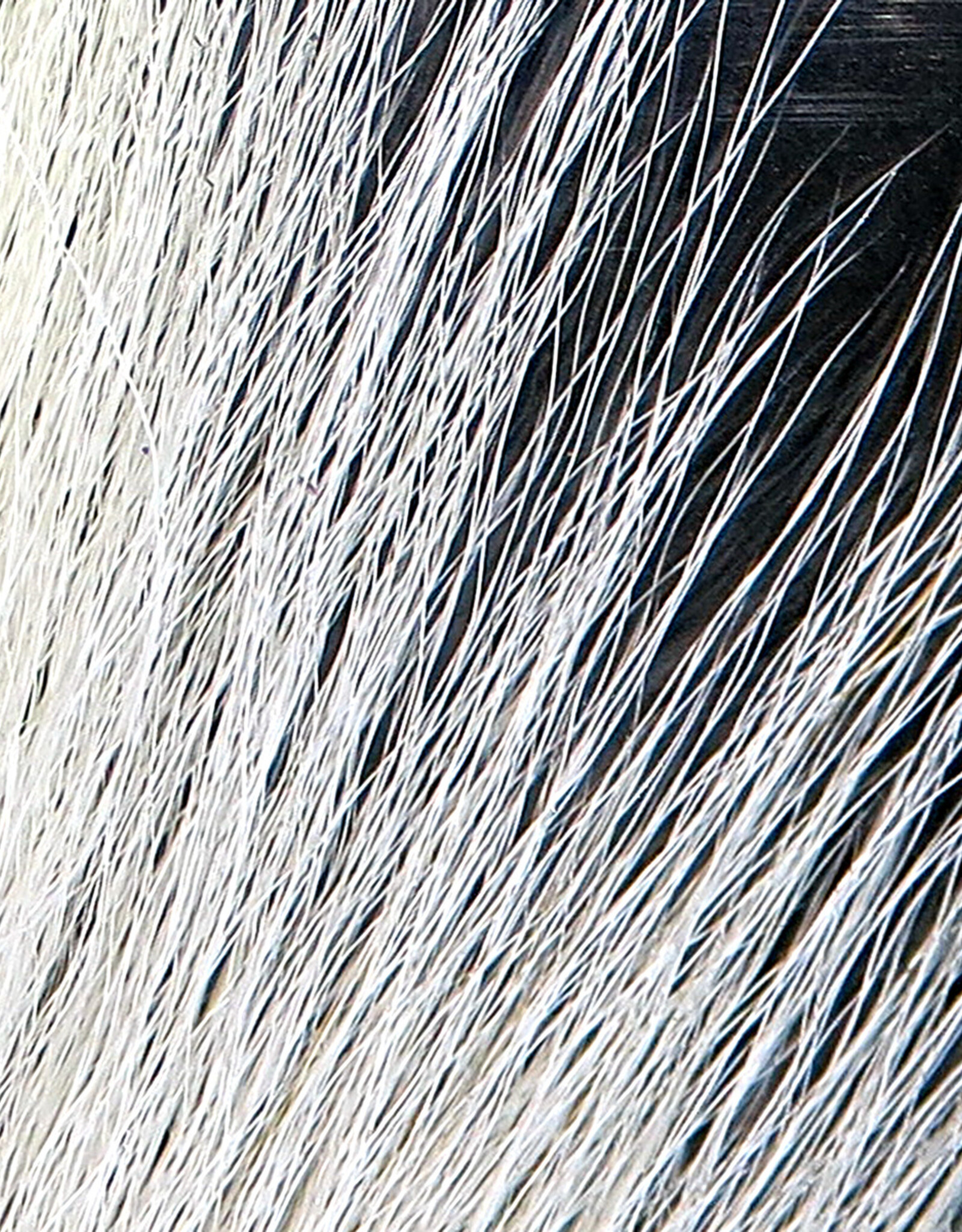 Hareline Dubbin Large Northern Bucktail