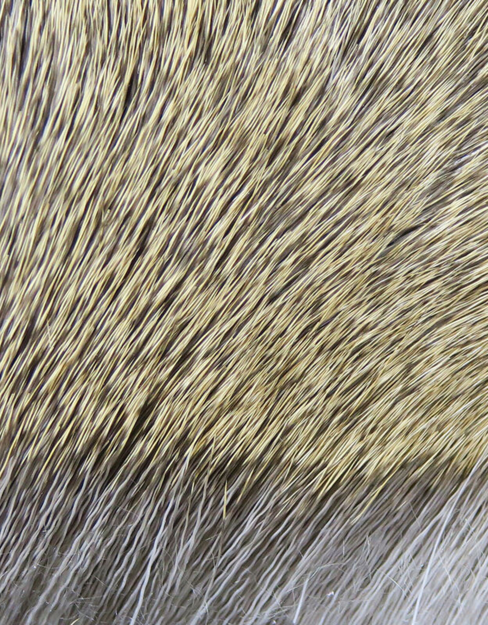 Hareline Dubbin Premo Deer Hair Strips