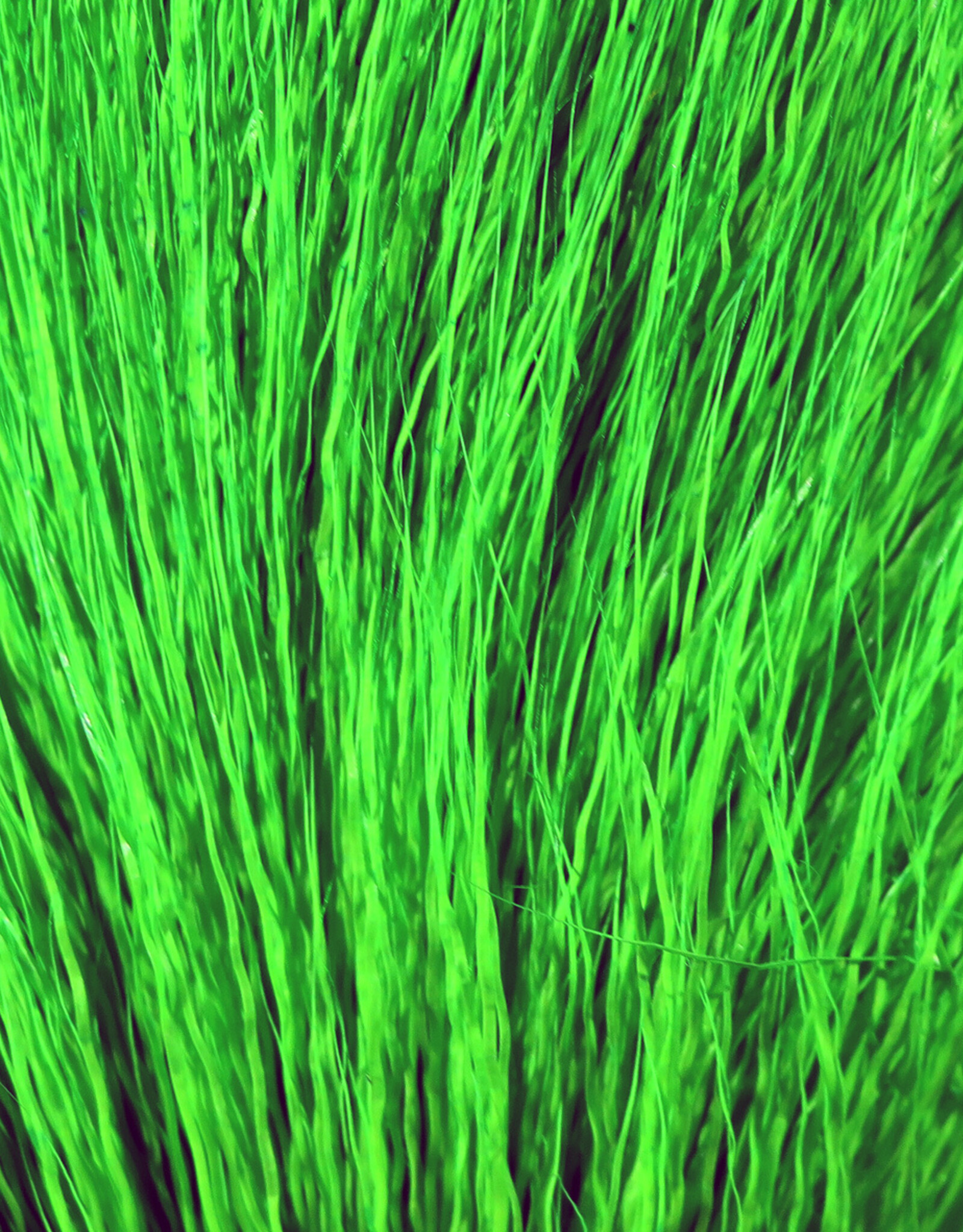 Hareline Dubbin Deer Belly Hair Dyed From White