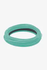 RIO Products Premier Sink Tip 24ft.