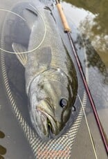 Summer Smallmouth Flies