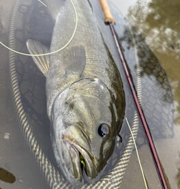 Summer Smallmouth Flies