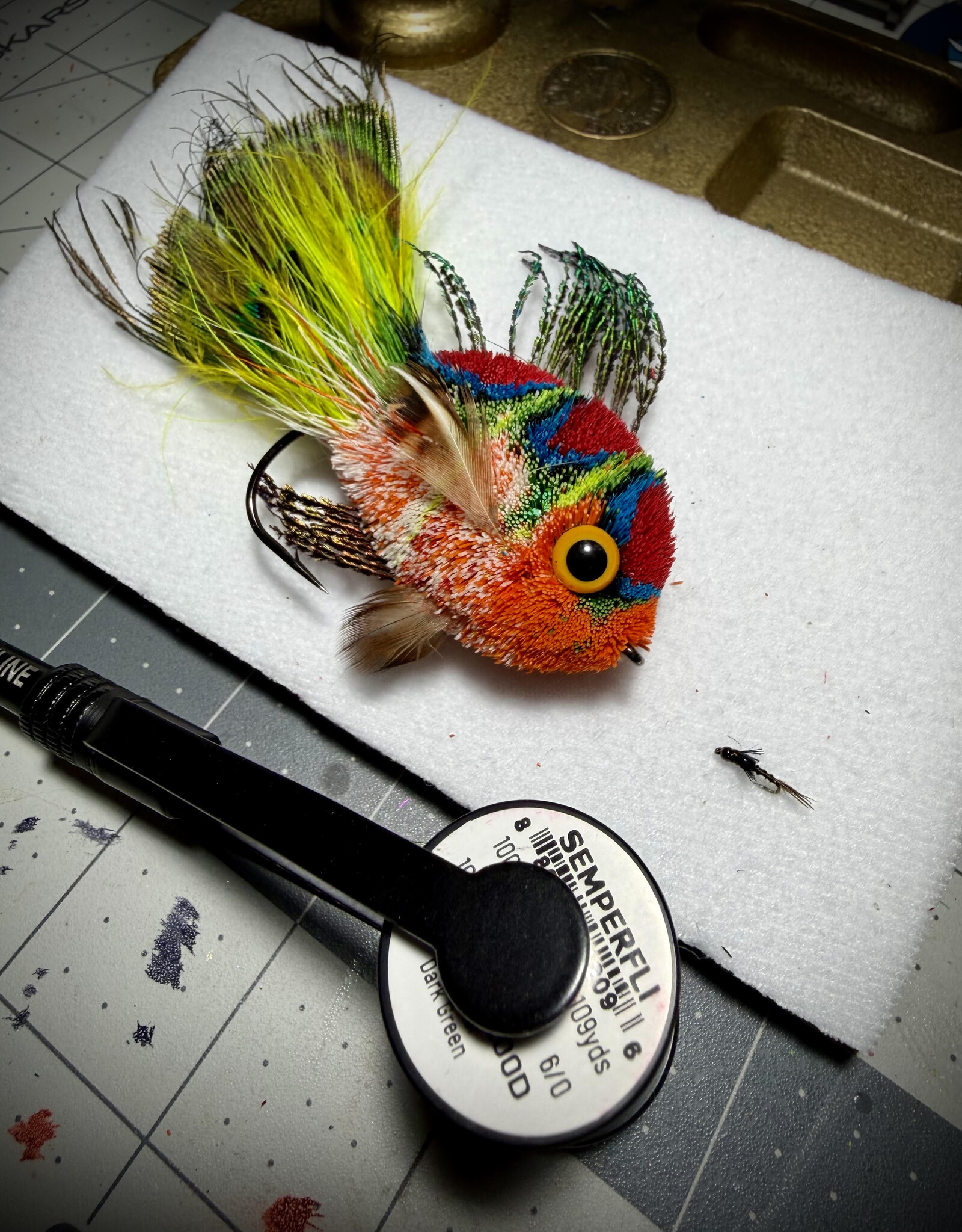 2026 Tying Classes