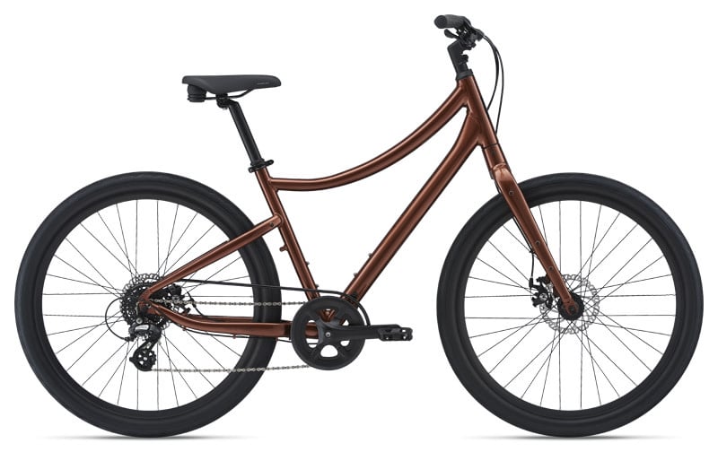 Momentum Vida Regular Copper
