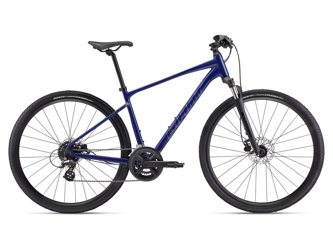 Giant Roam 3 Disc L Performance Blue