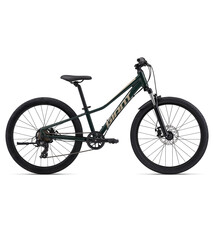 Giant Talon 24 Disc One Size Trekking Green
