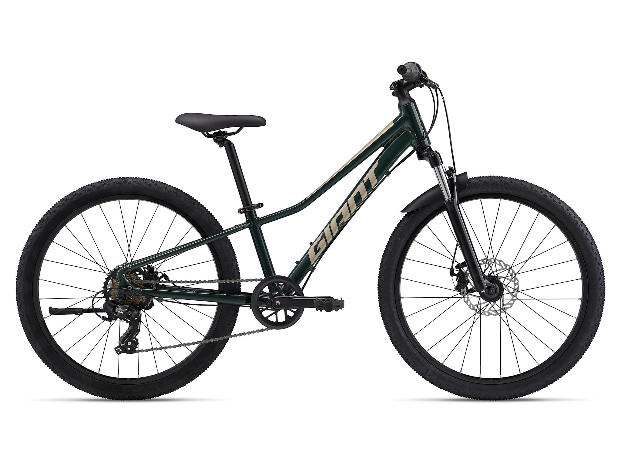 Giant Talon 24 Disc One Size Trekking Green