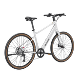 Velotric Tempo-Large / High-Step / Lightning Silver