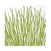 Boston International Cocktail Napkin - Seagrass