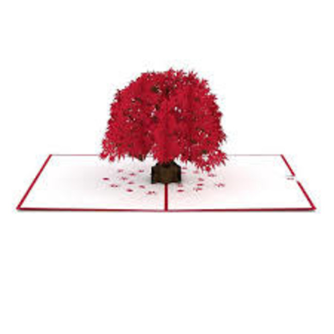 LovePOP Love Pop Greeting Card- Japanese Maple (Red Tree)