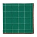 DII Fabric Napkin - Joyful Dobby Green