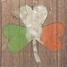 Boston International Cocktail Napkin- Luck of the Irish